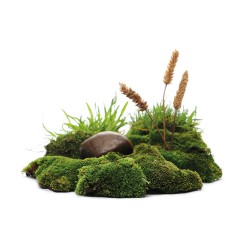 Arya HD Diffusore Bastoncini 55ml - Musk