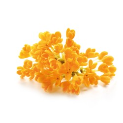 Arya HD Diffusore Bastoncini 55ml - Osmanthus